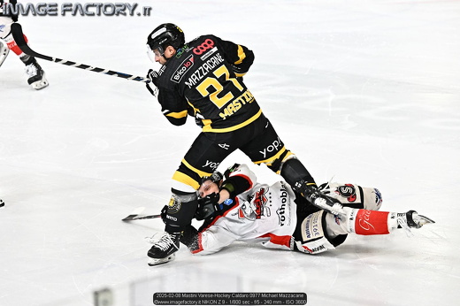 2025-02-08 Mastini Varese-Hockey Caldaro 0977 Michael Mazzacane